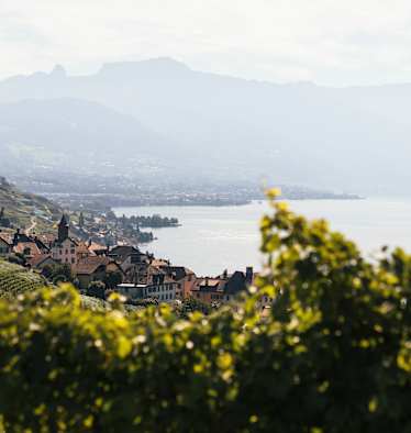 Schweiz-Tourismus-1