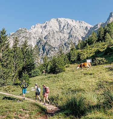 Wanderer in den Leoganger Steinbergen