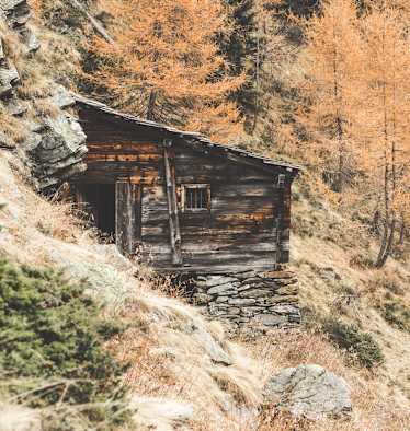 Wangenitzalm
