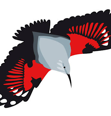 Mauerläufer