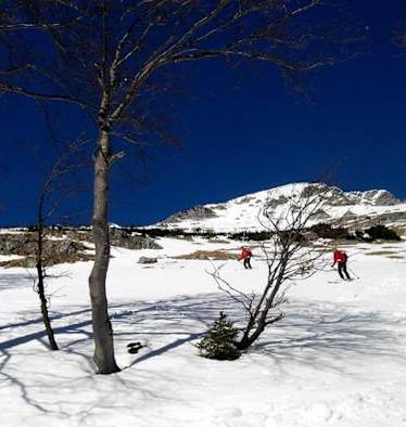 „Wurzleiten", Ybbstaler Alpen