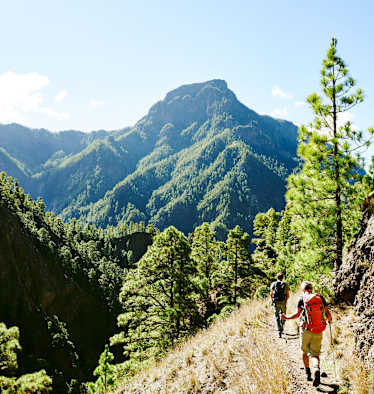 Wanderer auf La Palma
