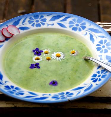 9-Kräuter-Suppe