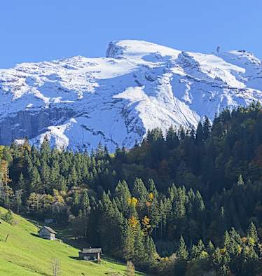 Titlis