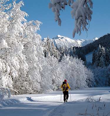 Allgäu: Piesenkopf