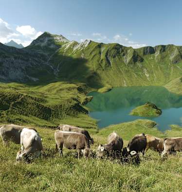 Der Schrecksee mit Alpwirtschaft