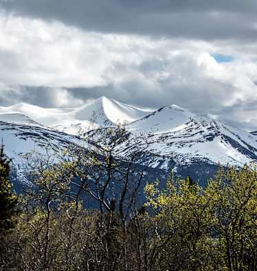 Kanada Atlin Birch Mountain