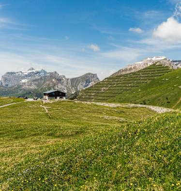 Unterwegs am blumenreichen Blaser