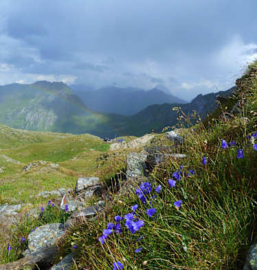 Blick auf die Filmoor-Standschüztenhütte am Karnischen Kamm