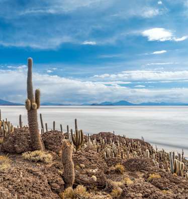 Salar de Uyuni Bolivien