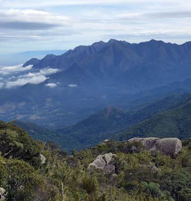 Minas Gerais