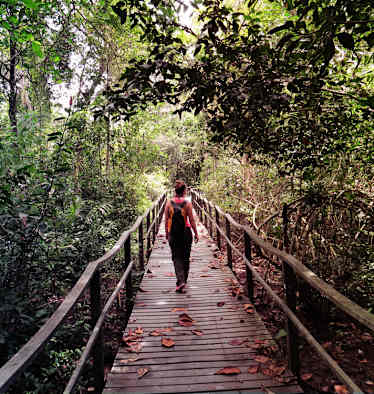 Costa Rica Cahuita