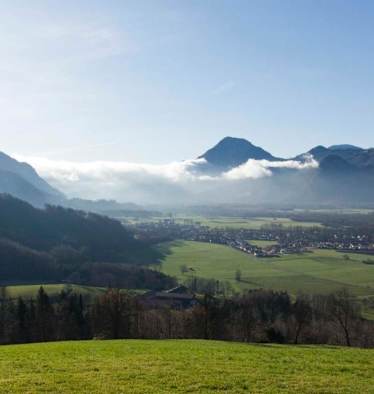 Dandlberg