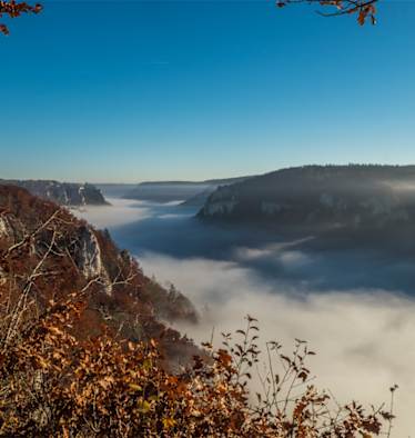 Donauwelle Wanderweg