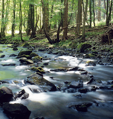 Eifelsteig