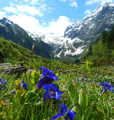 Lüsens