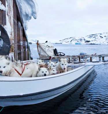 Boot in Grönland