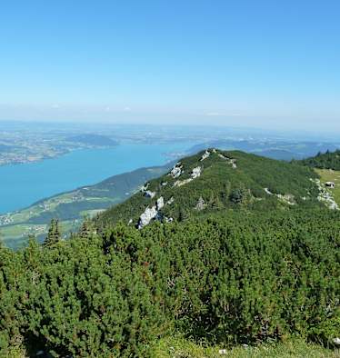 Blick vom Höllengebirge auf den Attersee