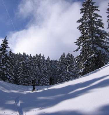 Skitour zum Kamor