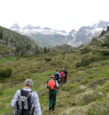 Bergwaldprojekts Schwarzensteinkees