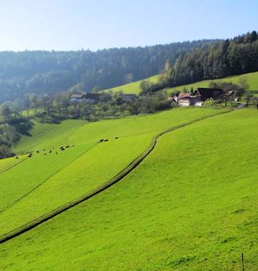 Grimmenstein-Wanderung