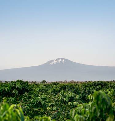 Reise Kilimanjaro