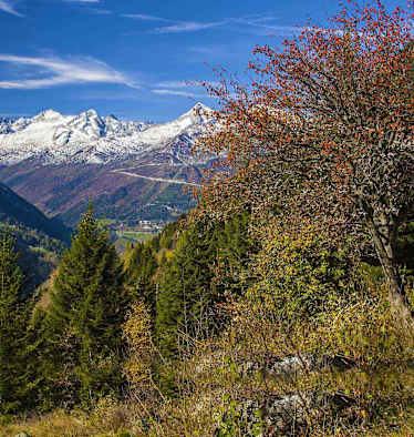 La Strada Alta