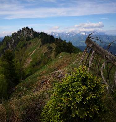 Langlackenmauer im Reichraminger Hintergebirge