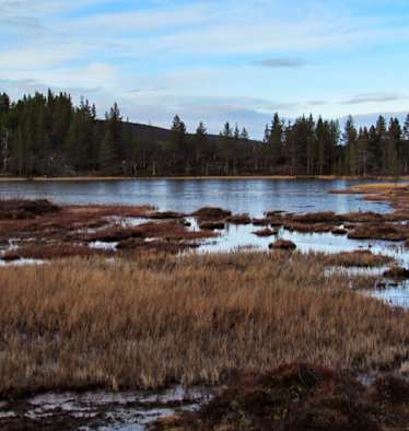 Wandern in Lappland