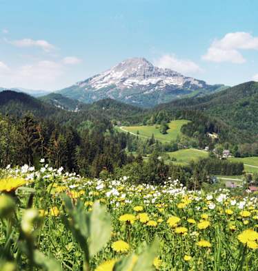 Der Ötscher im Frühling