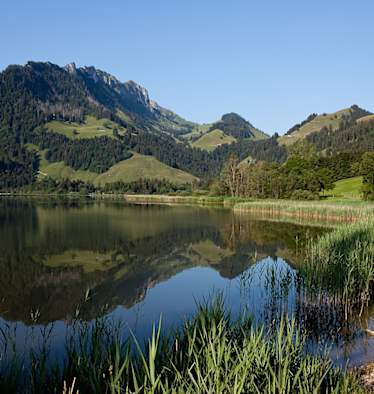 Schwarzsee Freiburg