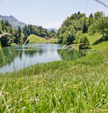 Der Seewaldsee