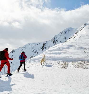 Wölzer Tauern