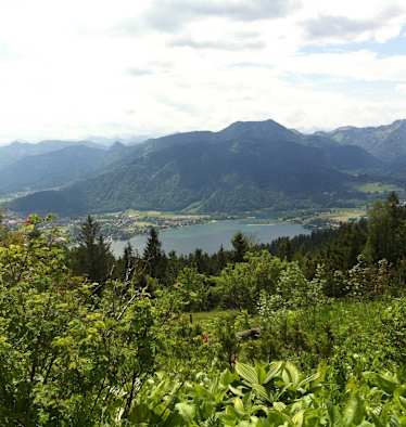 Der Tegernsee