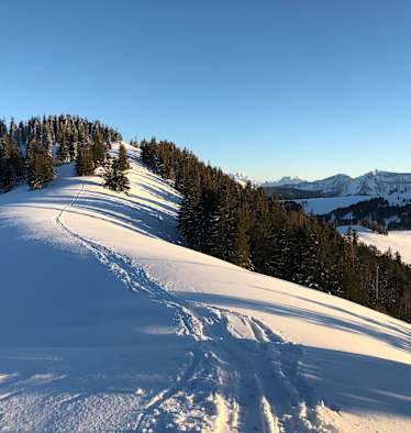 Feierabendrunde auf´s Zwölferhorn