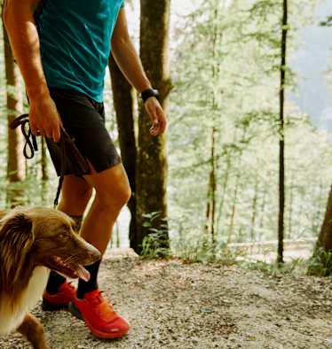 Die Leine sollte am Berg unbedingt dabei sein – hier bei einer Wanderung am Königssee