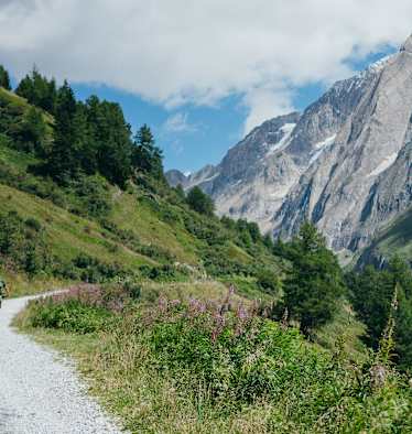 Mountainbike, Gravelbike, Mehrtagestouren
