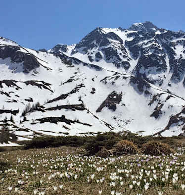 aufmacher_touren_schweiz