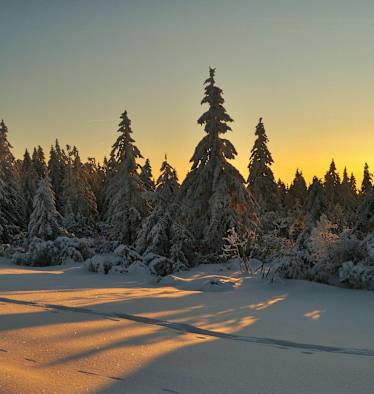 Schwarzwald im Winter: Baiersbronn in Baden-Württemberg