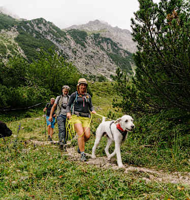 Drei Personen und ein Hund wandern zur Sarotlahütte Brandnertal.