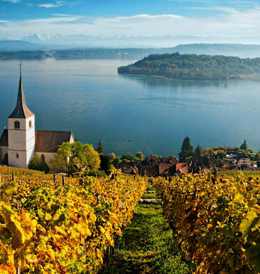 Rebberge am Bielersee im Kanton Bern: Blick auf den See mit der St. Petersinsel