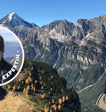 Habicht im Gschnitztal