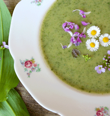 Brennnessel Suppe mit essbaren Blüten