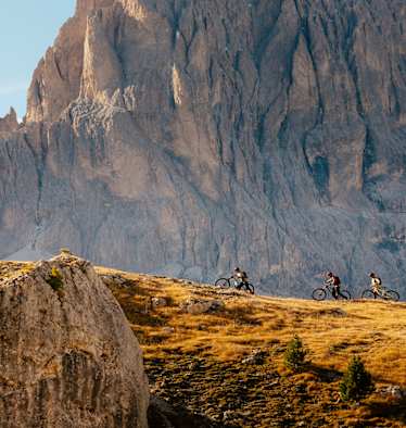 Vier Personen schieben ihr Mountainbike am Berg