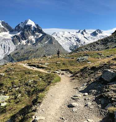 Bernina