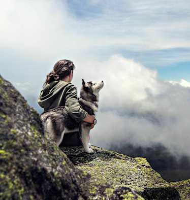 Vierbeiner am Berg: Mit Hund auf der Hütte