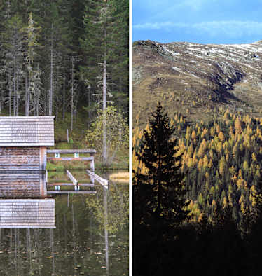 Steirische Krakau
