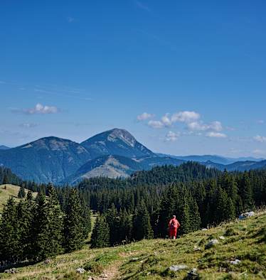 dsc_7953_si202404170130
