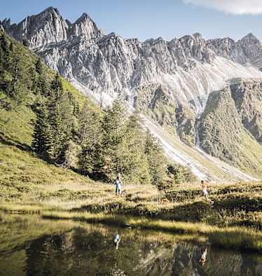 IDM_STERZING_1