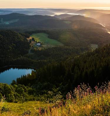 Hochschwarzwald: Wandern am Feldberg